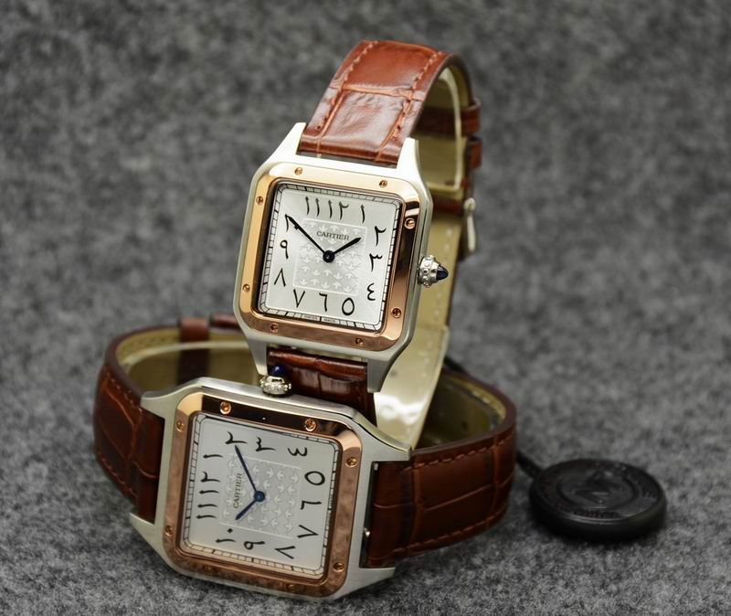 Cartier 35X46mm 31.5X43.5mm 05 (27)